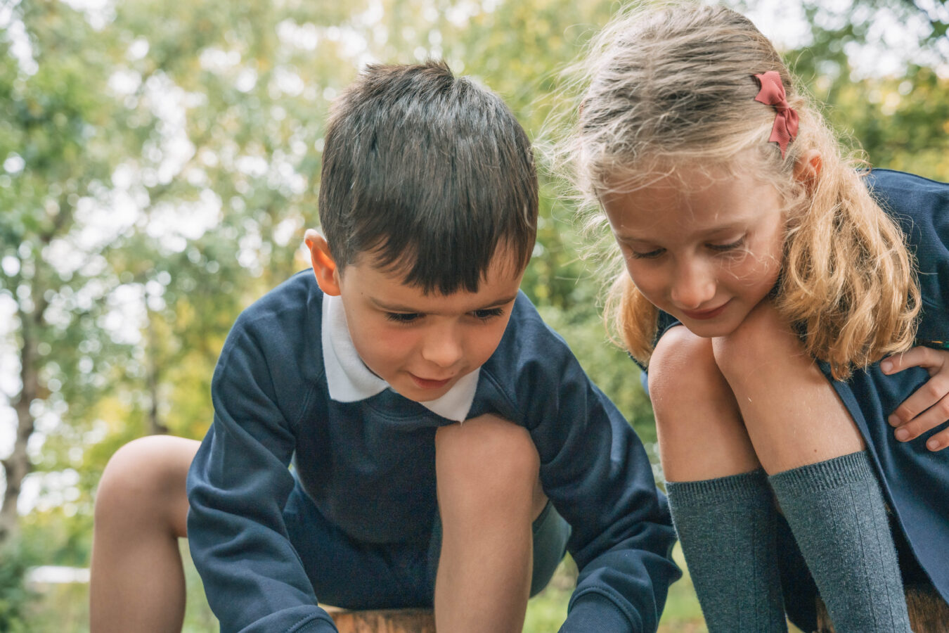 Vacancies at Our Trust Schools featured image
